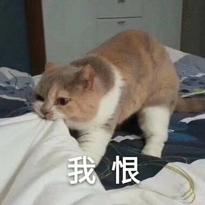 动漫中的神酒喝完A变D?我们只用“大”姐姐讲道理