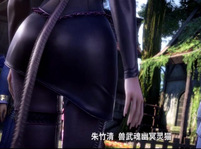 斗罗大陆:灵猫治白虎,花花公子从良记