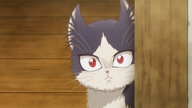 吸猫动画《同居人是猫》公布首集先行画面