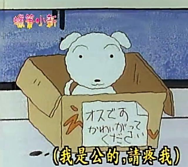 作者是抑郁症,画的小学生,这部漫画凭什么这么暖心这么高人气?