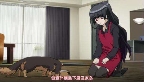 物种不同也能撒狗粮,这部番剧告诉你单身真的不如狗