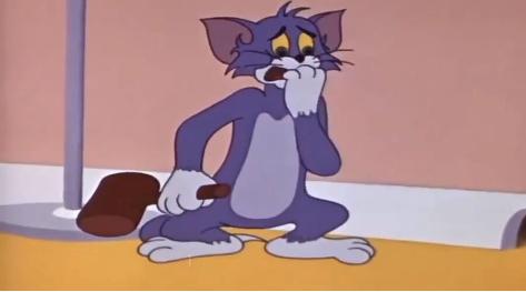 水火不容的猫和老鼠斗了那么久,汤姆真的那么蠢吗