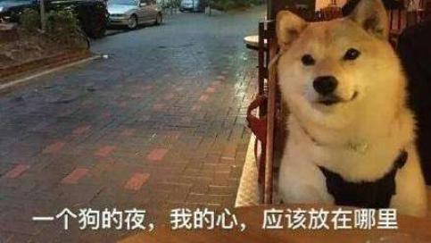如何撩妹?国漫男主为您演示各种追妻套路,总有一套适合你