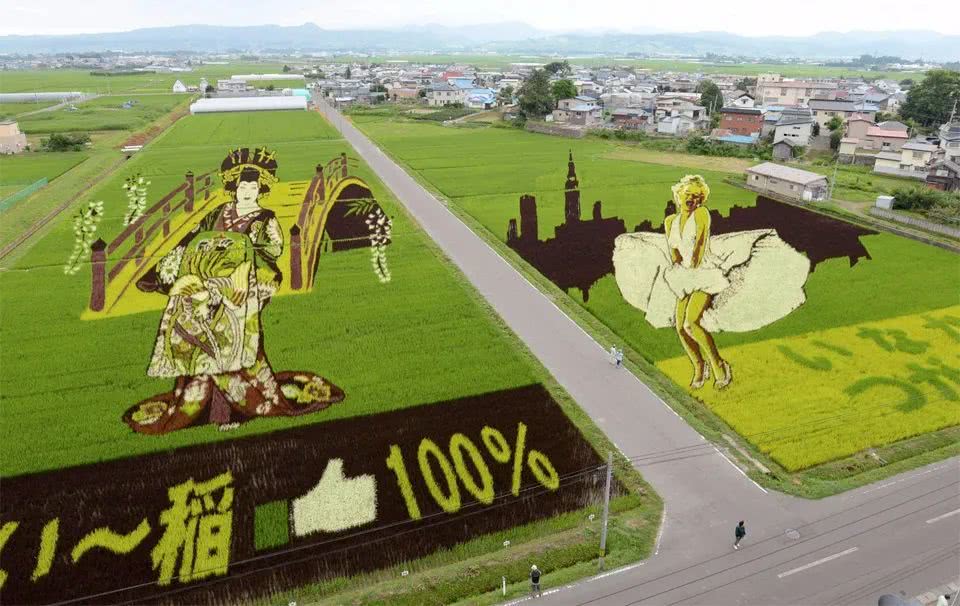 把火影忍者奥特曼种到稻田里，日本农民艺术家太有才了