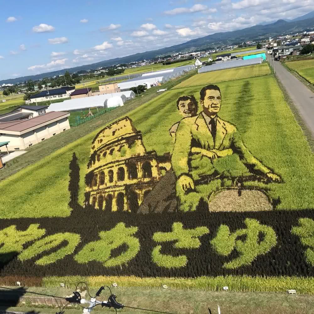 把火影忍者奥特曼种到稻田里，日本农民艺术家太有才了