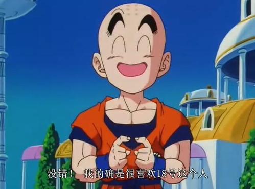 人造人18号会嫁给克林,以前没看懂,年纪大了反而能懂